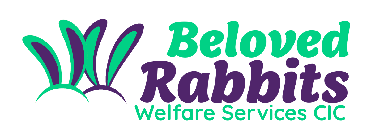 Beloved Rabbits Welfare Services CIC