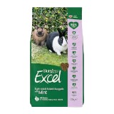 Burgess Excel Light
